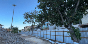 Leia mais sobre o artigo Prefeitura de Cabo Frio prepara a retirada de 24 árvores para nova etapa de revitalização da Praça da Gamboa