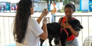 Leia mais sobre o artigo Projeto de castração gratuita para cães e gatos retorna a Cabo Frio