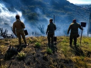 Leia mais sobre o artigo Equipes controlam incêndio em vegetação no Pontal do Atalaia