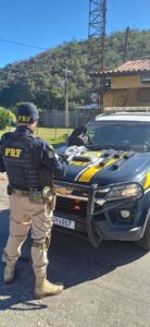Leia mais sobre o artigo PRF e PM apreendem maconha e ecstasy em Casimiro de Abreu