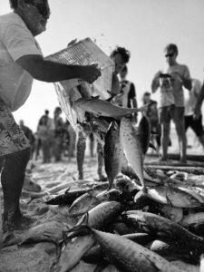 Leia mais sobre o artigo Prefeitura de Arraial do Cabo abre inscrições para programa que prevê até R$ 500 mensais a pescadores