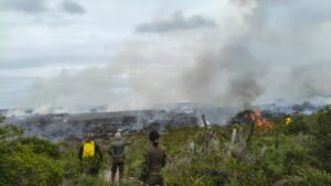 Leia mais sobre o artigo Incêndio atinge áreas de restinga em Arraial do Cabo e equipes atuam no combate às chamas