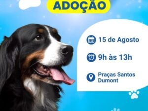 Leia mais sobre o artigo Prefeitura de Búzios realiza feira de adoção de animais na Praça da Ferradura