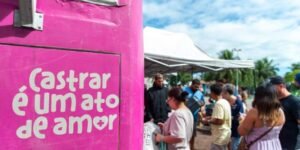 Leia mais sobre o artigo Castramóvel retorna ao Jardim Esperança com serviços gratuitos para cães e gatos