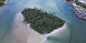 Leia mais sobre o artigo Prefeitura de Cabo Frio realiza grande mutirão de limpeza na Ilha do Japonês