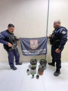 Leia mais sobre o artigo Polícia Militar apreende drogas e localiza plantação de maconha em Araruama