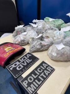 Leia mais sobre o artigo Ação integrada das forças de segurança resulta em prisão e apreensão de drogas em Arraial do Cabo