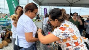 Leia mais sobre o artigo Mais de 1.500 animais são vacinados contra a raiva durante ação em Iguaba Grande