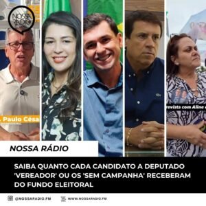 Leia mais sobre o artigo Saiba quanto cada Candidato a Deputado ‘ Vereador’ ou os ‘ sem campanha’ receberam do Fundo Eleitoral