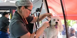 Leia mais sobre o artigo Cabo Frio recebe Pet Móvel do Senac com banho e tosa e oficinas gratuitas para a população