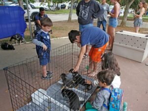 Leia mais sobre o artigo Mais que Petz promove vacinação, microchipagem, atendimentos e adoções em Búzios