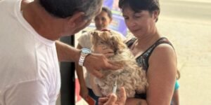 Leia mais sobre o artigo Cabo Frio inicia campanha de vacinação antirrábica