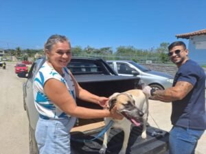 Leia mais sobre o artigo Búzios vacina 3.572 cães e gatos contra a raiva